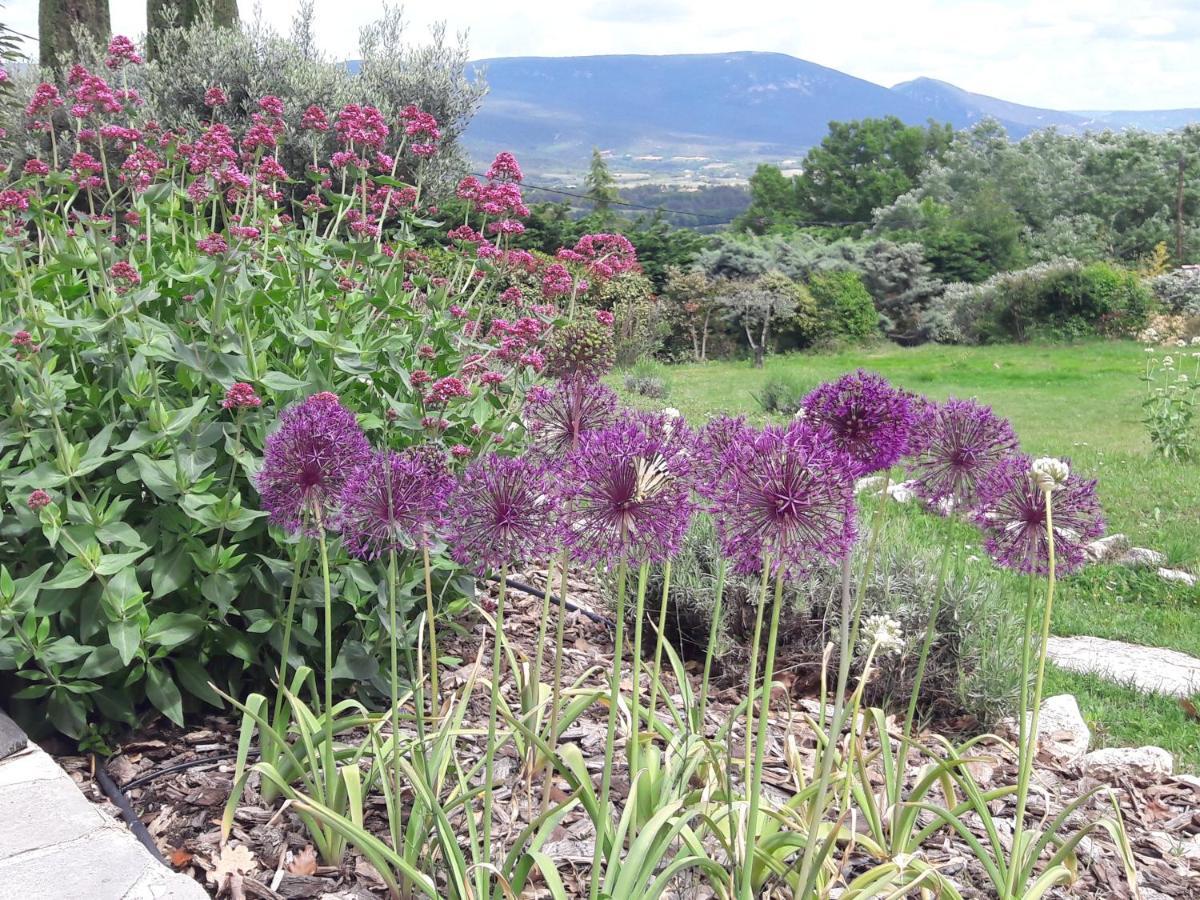 Les Cerises Bed & Breakfast Saint-Saturnin-d'Apt Exterior foto