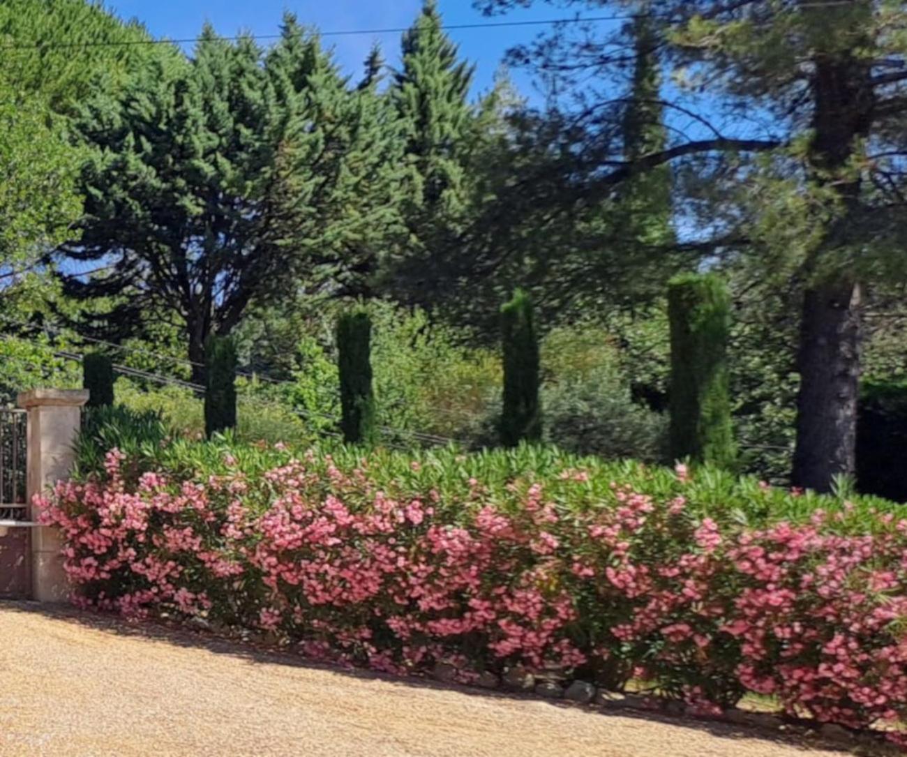 Les Cerises Bed & Breakfast Saint-Saturnin-d'Apt Exterior foto